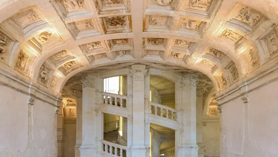 Từ Paris: Chuyến đi trong ngày đến các lâu đài ở Thung lũng Loire kèm nếm rượu vang