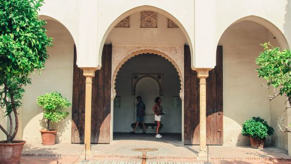 Malaga: visita guidata all'Alcazaba e al Teatro Romano con ingresso