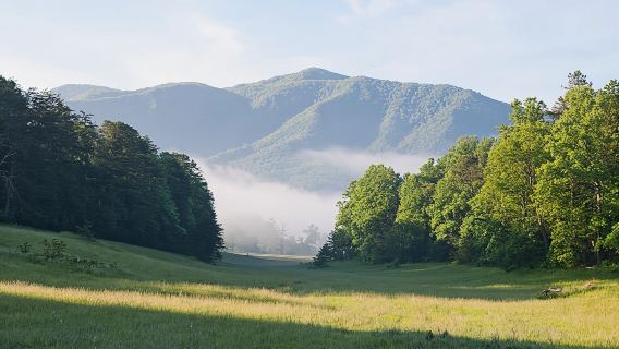 Pigeon Forge: Sights of the Smokies Guided Tour