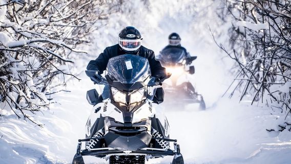 Polo Nord Alaska: tour guidato in motoslitta a Fairbanks