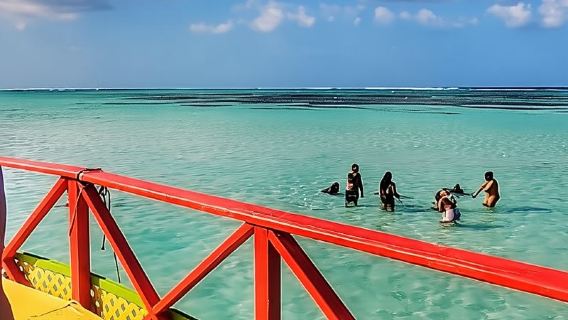 Tobago: Buccoo Reef and Nylon Pool Glass Bottom Boat Tour
