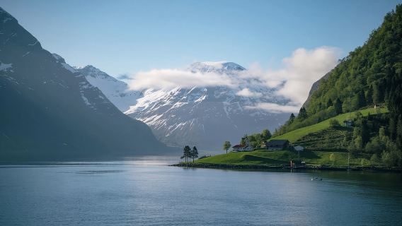 Ålesund: Fjord Tour with Lunch on MS Bruvik