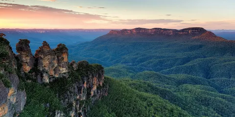 小團遊:藍山動物園之旅、樹熊合照及藍山絕景世界