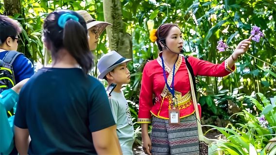 3-Hour In-Depth Guided Tour Reservation for Xishuangbanna Tropical Botanical Garden West/East Zone with Botanical Science Education