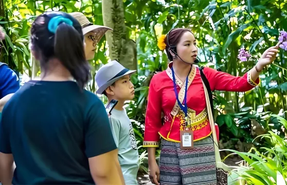 雲南西雙版納中科院西雙版納熱帶植物園西區/東區深度講解預約3H植物園科普