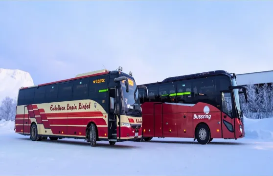 挪威特羅姆瑟或芬蘭羅瓦涅米單程/往返汽車巴士票跨國巴士可選納爾維克/列維出發