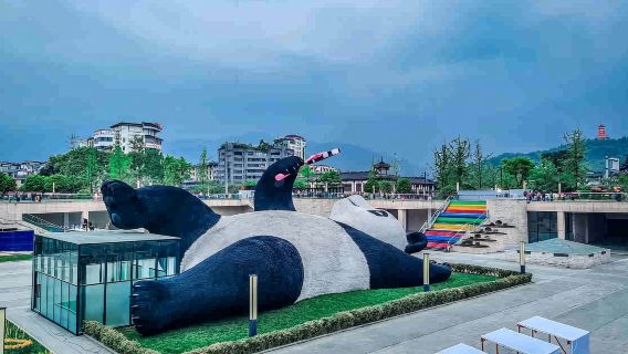 Chengdu Dujiangyan & Panda Valley private charter day tour (Perfect for family trips!)