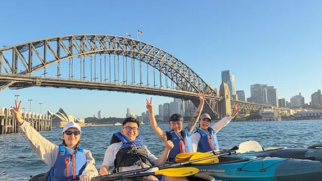 Sun peak Mid-Morning Harbour Kayak Tour