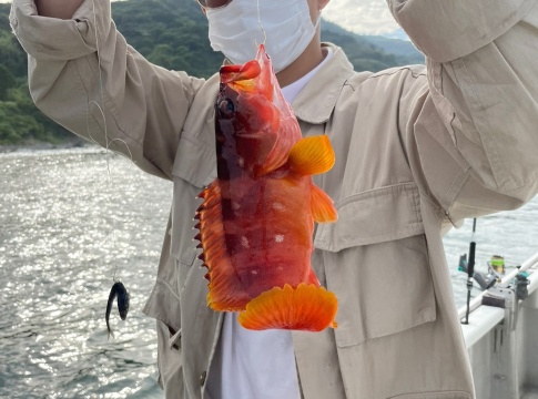 汕頭南澳島青澳灣快艇出海海釣2小時【可選拼船/包船出海海釣+提供釣竿魚餌】