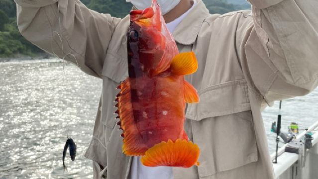 汕頭南澳島青澳灣快艇出海海釣2小時【可選拼船/包船出海海釣+提供釣竿魚餌】