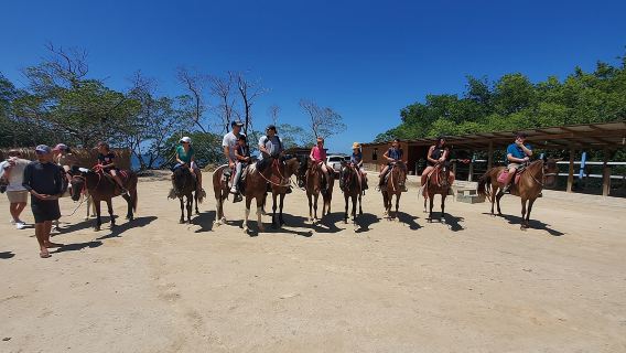 Roatan Excursion: Horseback Ride / Plus Sloth Park and Beach Break