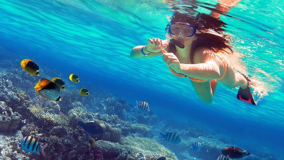 Sanya Boundary Island 1-Day Tour with Boat Ticket | Private Tour | Glass Sea | Door-to-Door Transfer