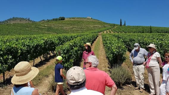 Portugal Porto Douro Valley day tour with boat trip, wine tasting, guide, and bus