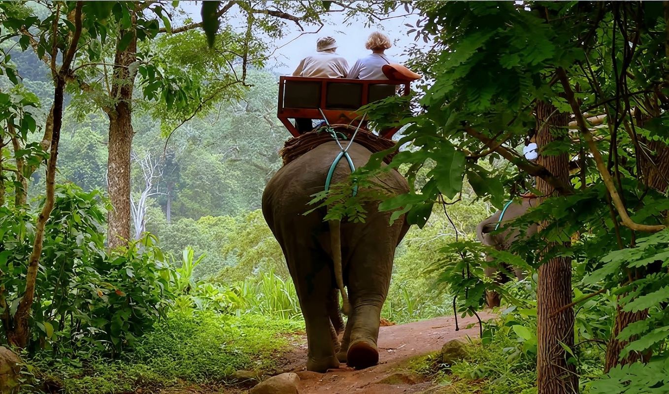 Excursión de medio día al campamento de elefantes de Phuket [Paseo en elefante por Kata, paseo en bicicleta de montaña todoterreno y tirolesa]