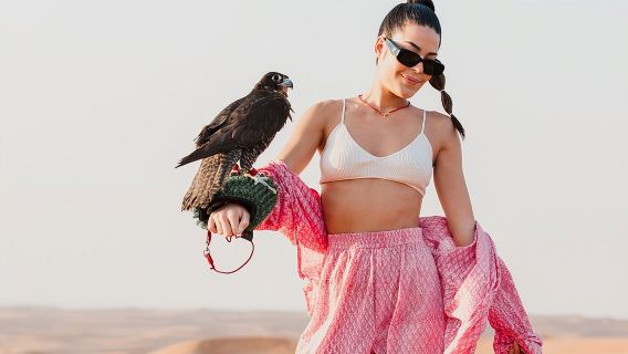 Dubai Evening Desert safari & BBQ Dinner-Pickup From Dubai mall