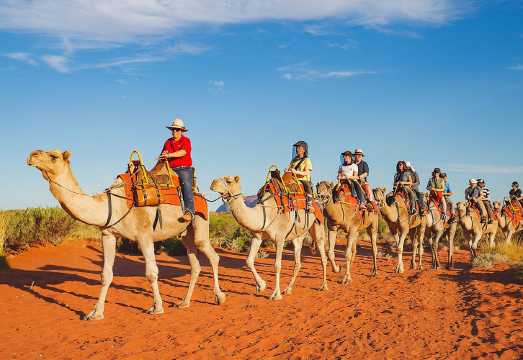 Uluru Ayers Rock Camel Ride Sunrise and Sunset Guide