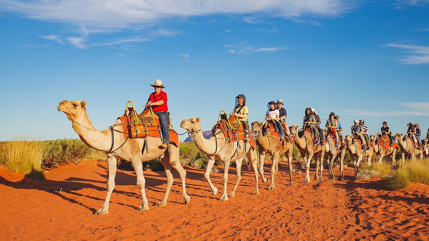 オーストラリア|ウルル エアーズロックでのラクダ乗り体験『日の出・日没オプション+ホテル送迎+英語ガイド+デザートオプションあり』