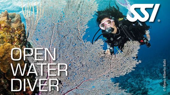 SSI Open Water Diver + Advanced Adventurer Course 5 Days | Kota Kinabalu, Sabah