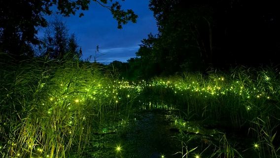 曼谷大皇宮+美功鐵道市場+安帕瓦水上市場+螢火蟲一日遊