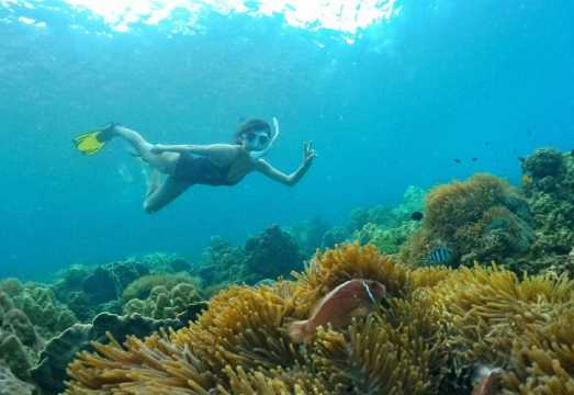 Coral Mountain & Halfmoon Reef Phu Quoc Snorkeling Tour by Speedboat