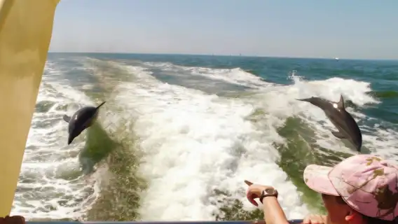 St. Pete Beach Area: Dolphin Racer Speedboat Adventure