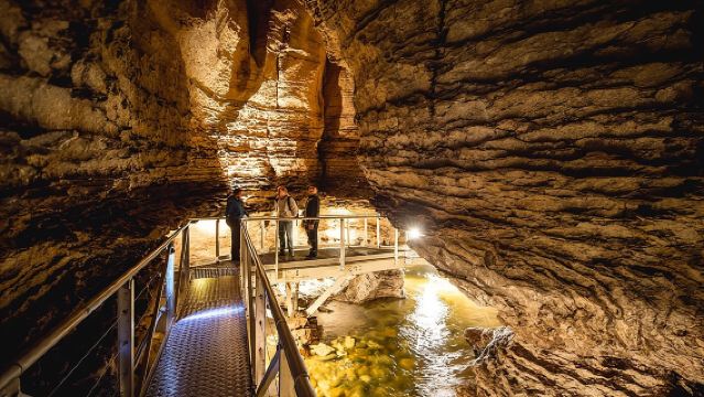 Te Anau Glow Worm Caves Tour