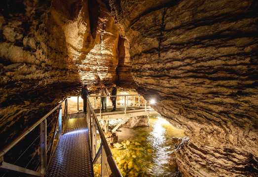 Te Anau Glow Worm Caves Tour