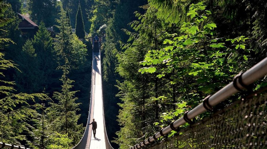 溫哥華觀光一日：卡皮拉諾吊橋+觀景台【英文團】