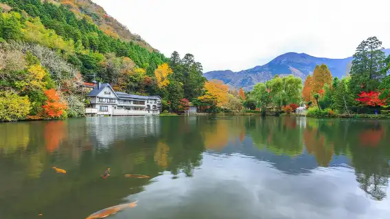 Depart from Fukuoka and disband | One day trip to Oita [Yufuin, Kyushu Natural Zoo, Beppu Jigoku Onsen]