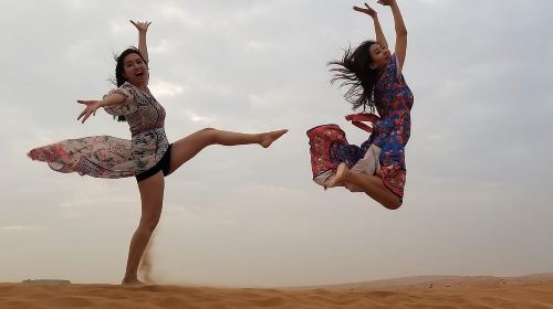 Private 4Hours Red Dunes Safari Camel Ride ,Falcon & Dune Thrills 7