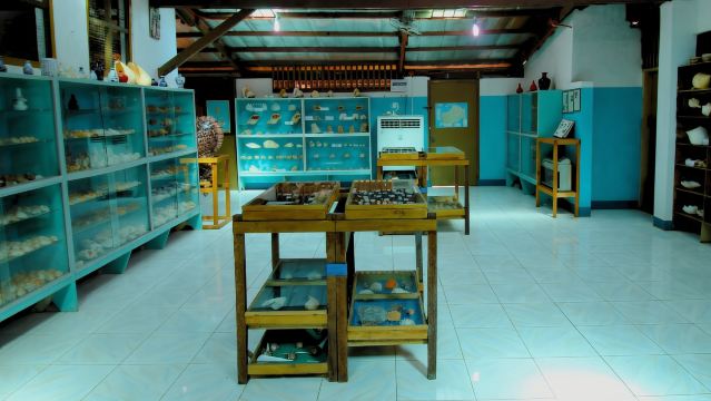 Bohol-Panglao Island Tour