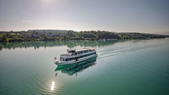 Lake Hallwil: Round trip or 1-day ticket for Lake Hallwil