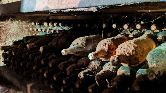 Vienna: tour di degustazione di vini di un giorno intero nei boschi viennesi