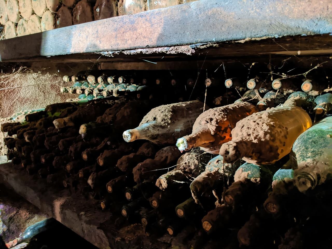 เวียนนา: ทัวร์ชิมไวน์ Vienna Woods แบบเต็มวัน