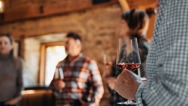 Queenstown: Premium Full-Day Central Otago Wine Tasting Tour