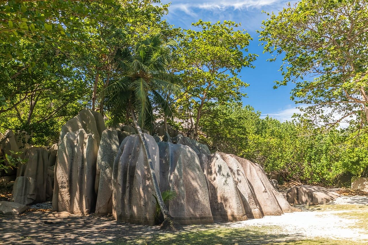 プララン島：シスター島とココ島の終日クルーズとクレオールBBQ