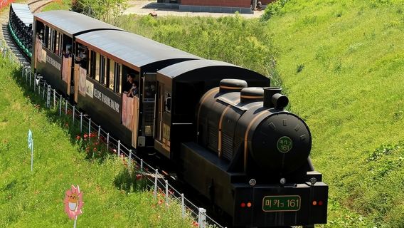 Hadong, Gyeongnam - Cable Car & Rail Bike Experience