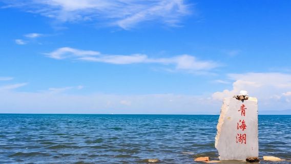 青海西寧&烏蘭&海東|中英文導遊|商務考察翻譯/展會翻譯服務|其他語言（請諮詢客戶服務支援）