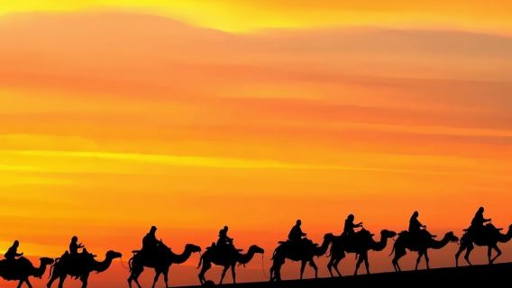 甘肅全境|專業英語導遊|商務翻譯服務|展會翻譯服務|（法語/義大利語/俄語）|其他語言（請諮詢顧客服務中心）