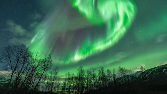 挪威特羅姆瑟-專業追光團隊-夜間追極光-包車/跟小團-可定制