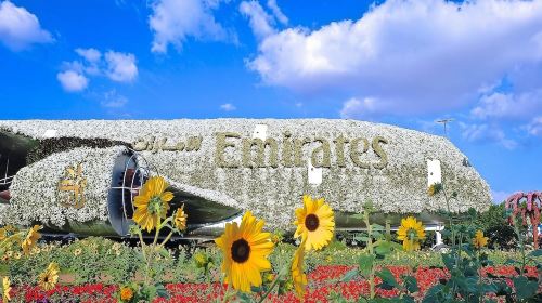 Miracle Garden and Global Village with Transfers - Ticket Day Tours 9