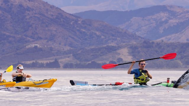 Aventura en kayak en Kaikoura, Isla Sur de Nueva Zelanda [opcional avistamiento de ballenas en familia/puesta de sol | múltiples paquetes]