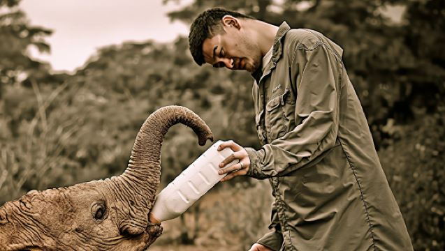 ทัวร์ 1 วันที่สำนักงานใหญ่แอฟริกาของสหประชาชาติในไนโรบี ประเทศเคนยา + สถานเลี้ยงเด็กกำพร้าช้าง + พิพิธภัณฑ์แห่งชาติ