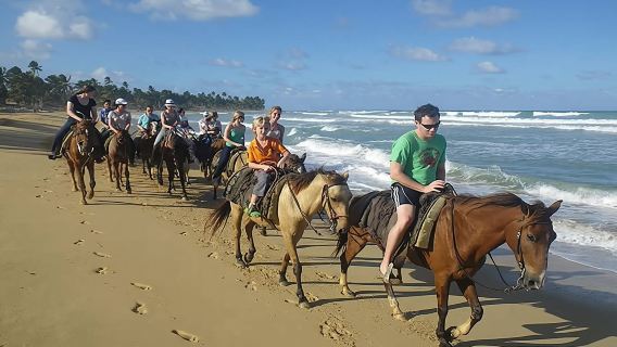 Punta Cana Beach Horseback Riding