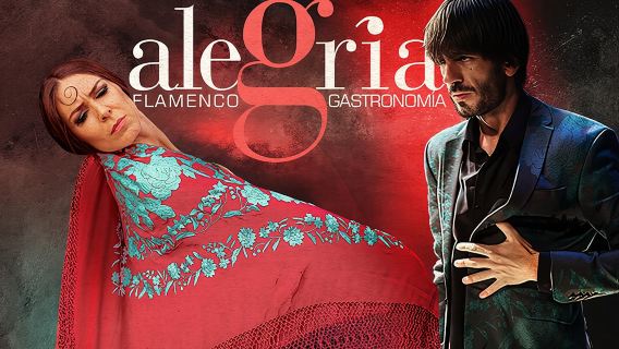 Authentic flamenco show. Alegria and gastronomy Malaga