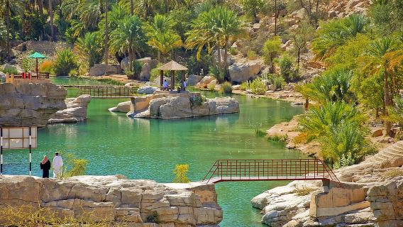 Safari privato a Wahiba Sands e Wadi Bani Khalid da Muscat