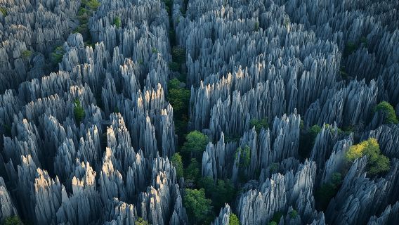1 Day Stone Forest & Jiuxiang Cave Tour