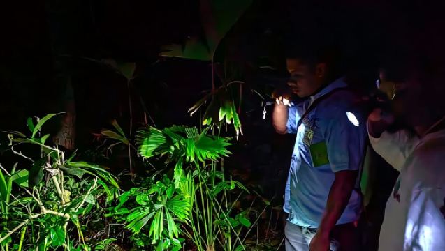 Tur malam hari di Suaka Manzanillo