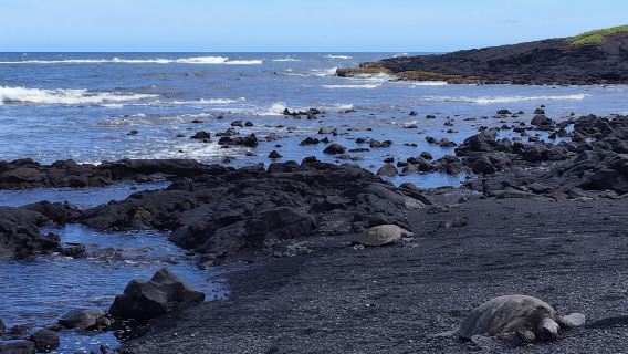Hawaii islandTours
