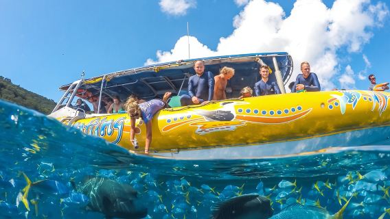 聖霊諸島スピードボート【ホワイトヘブン・ビーチ/ヒル海峡展望台/シュノーケリング/ランチ/エアリービーチ送迎オプション|OceanRafting|Tundercat|Viper】